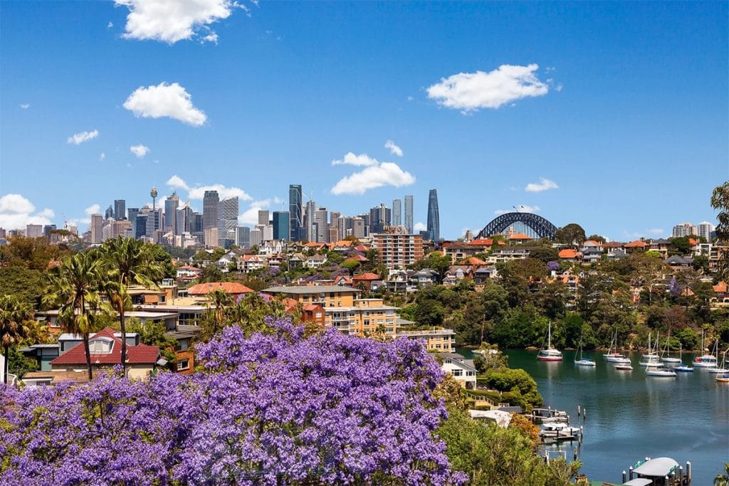 Bought - 6/17 Mosman Street, Mosman